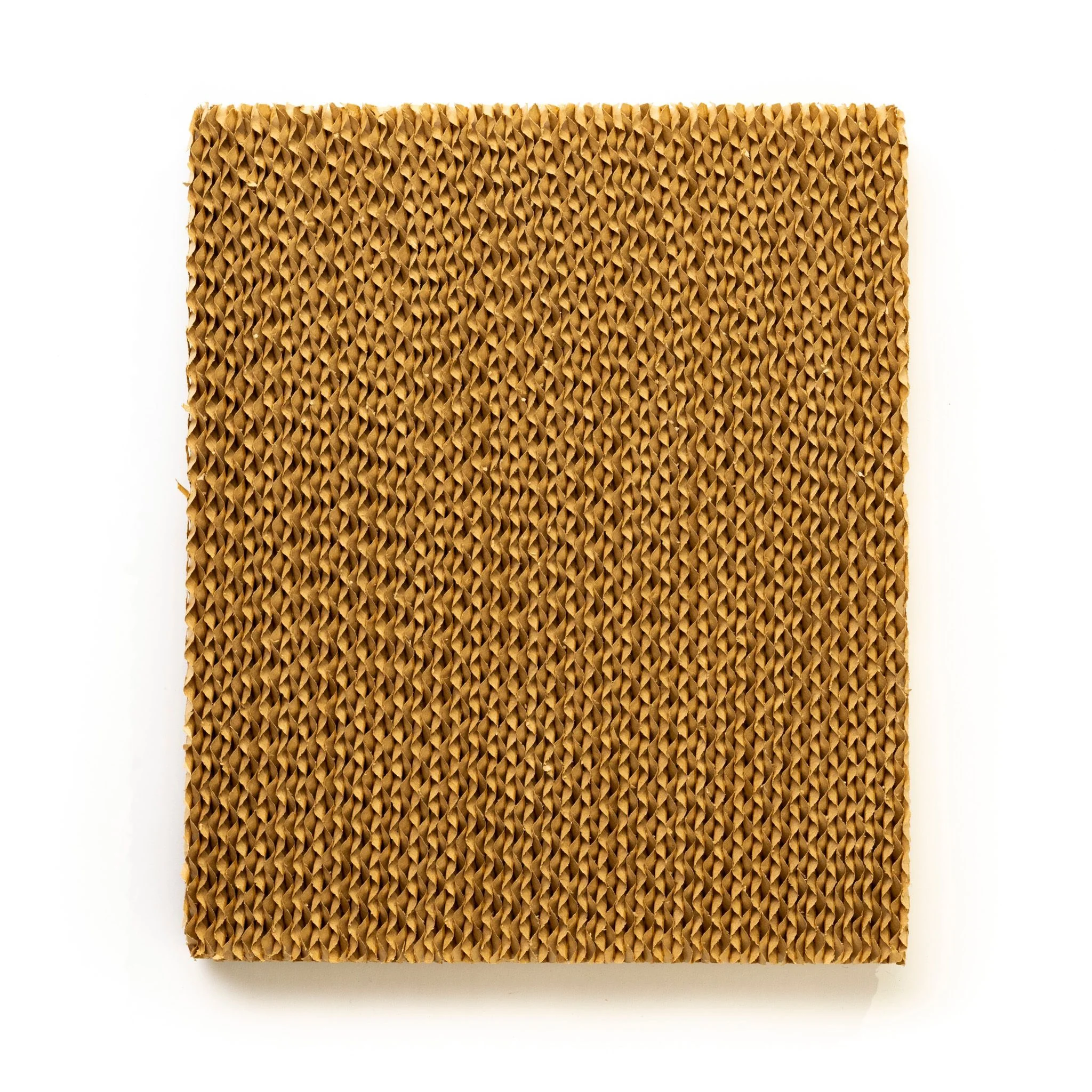 Honeywell Cooling Pad for Honeywell CS10XE- Series Evaporative Air Coolers